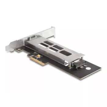 DeLOCK PCI Express kortelė su M.2 NVMe SSD dėklu 1 x M.2 NVMe Low Profile