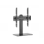 Equip universalus TV stovas 32-55 col., juodas, 40 kg talpa