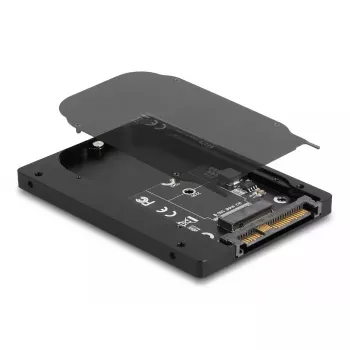 SSD korpusas DeLOCK 63379 Juodas M.2 1 diskas