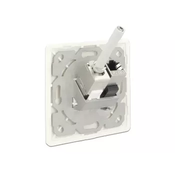 Sieninis RJ-45 lizdas DeLOCK 86219