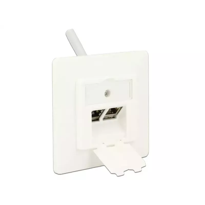 Sieninis RJ-45 lizdas DeLOCK 86219