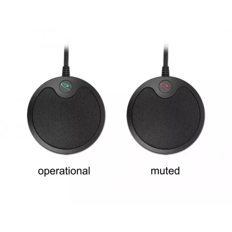 Konferencinis mikrofonas DeLOCK USB kondensatorinis, omnidirectional
