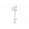 Equip 17 inch-32 inch dvikojis reguliuojamas monitorių laikiklis ant stalo, baltas