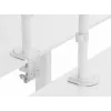 Equip 17 inch-32 inch dvikojis reguliuojamas monitorių laikiklis ant stalo, baltas