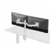 Equip 17 inch-32 inch dvikojis reguliuojamas monitorių laikiklis ant stalo, baltas