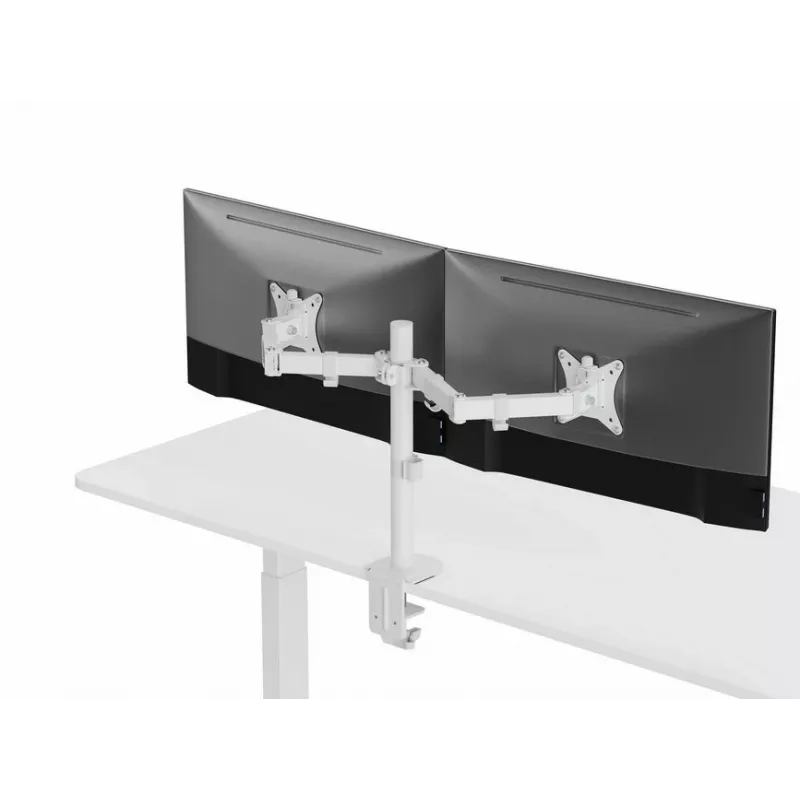 Equip 17 inch-32 inch dvikojis reguliuojamas monitorių laikiklis ant stalo, baltas