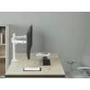 Equip 17 inch-32 inch dvikojis reguliuojamas monitorių laikiklis ant stalo, baltas