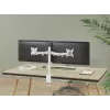 Equip 17 inch-32 inch dvikojis reguliuojamas monitorių laikiklis ant stalo, baltas