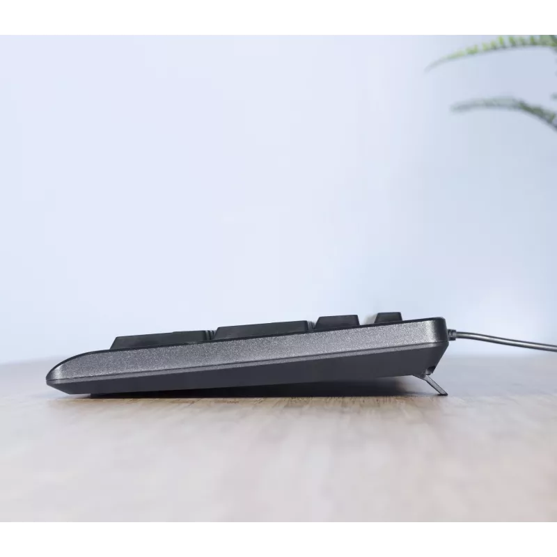 Trust TKM-250 klaviatūra ir pelė rinkinys, USB, QWERTZ vokiškas išdėstymas, juoda