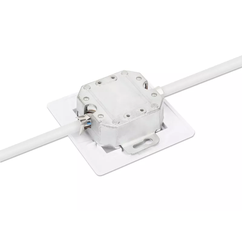 Intellinet 2-Port Cat6a 10G Ekranuota RJ45 Sieninė Jungtis su Plokščiu Montavimu ir Rozete, STP, Signal White RAL9003