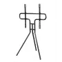 Hama 00220870 TV stovas / laikiklis 190,5 cm (75 col.) juodas