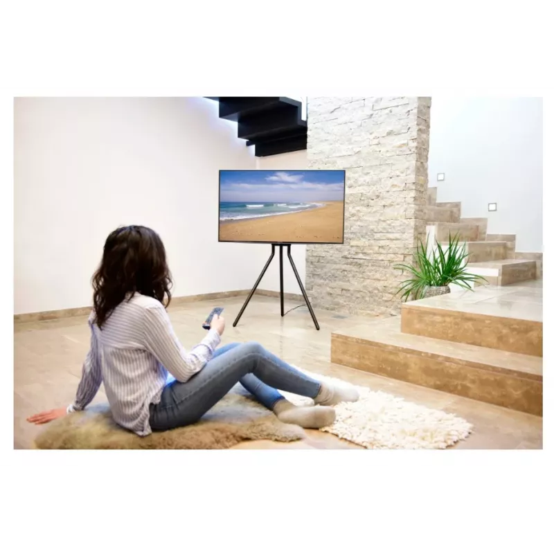 Hama 00220870 TV stovas / laikiklis 190,5 cm (75 col.) juodas