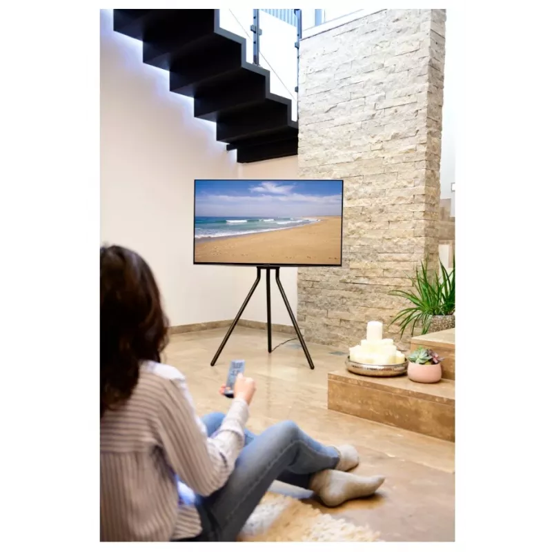 Hama 00220870 TV stovas / laikiklis 190,5 cm (75 col.) juodas