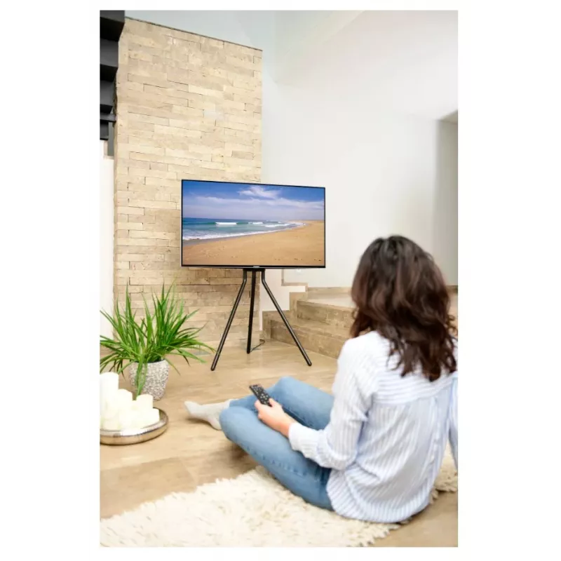 Hama 00220870 TV stovas / laikiklis 190,5 cm (75 col.) juodas