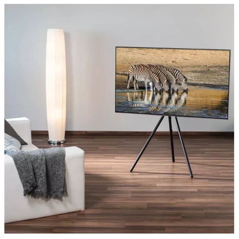 Hama 00220870 TV stovas / laikiklis 190,5 cm (75 col.) juodas