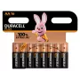 Duracell Plus 100 AA šarminė vienkartinė baterija
