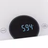 Virtuvinės elektroninės svarstyklės Adler AD 3173W