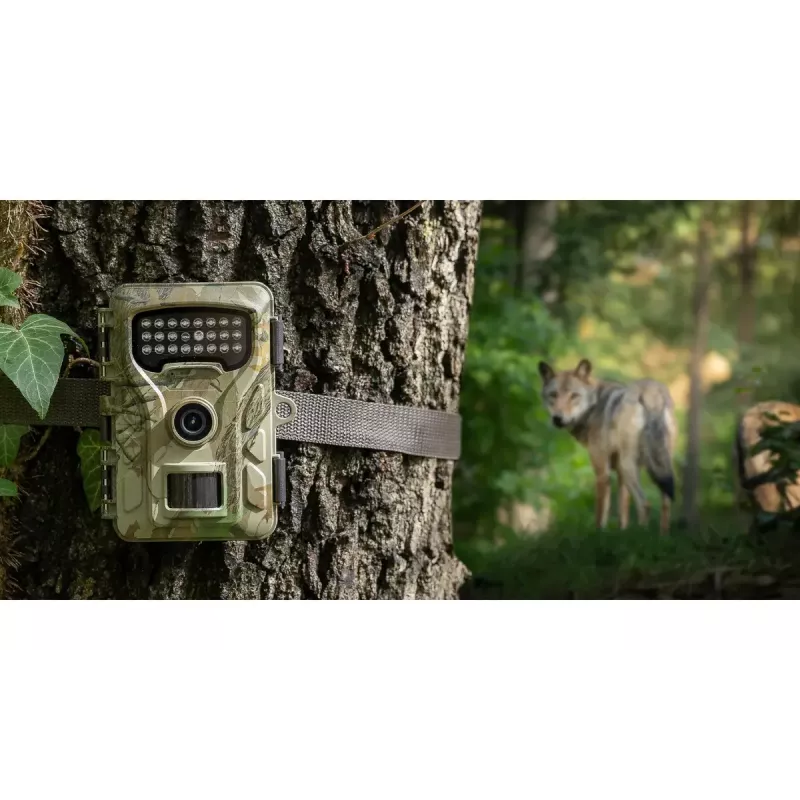 Statinė kamera Redleaf RF06 RL4380 Standartinė
