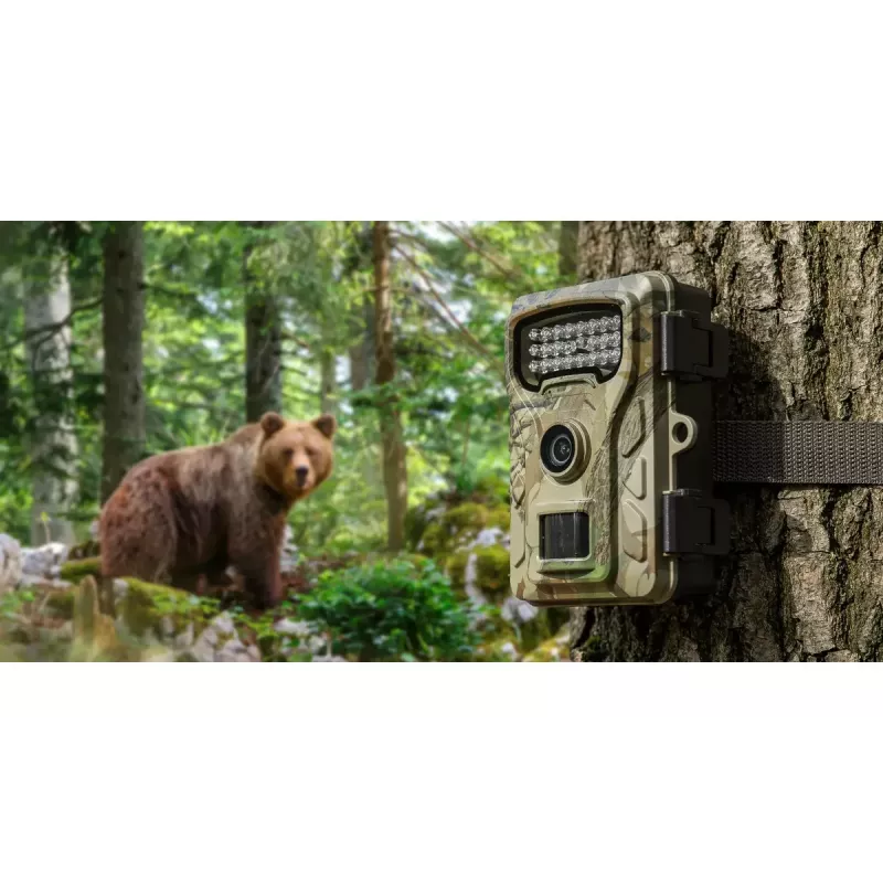 Statinė kamera Redleaf RF06 RL4380 Standartinė