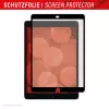 Displex 01886 PaperSense apsauga planšetės ekranui iPad (7/8/9 kartos)/Air (3 kartos), popieriaus paviršiaus pojūtis, nuimama