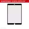 Displex 01886 PaperSense apsauga planšetės ekranui iPad (7/8/9 kartos)/Air (3 kartos), popieriaus paviršiaus pojūtis, nuimama