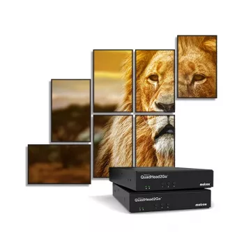 Matrox QuadHead2Go Q155 kelių monitorių valdiklio prietaisas / Q2G-H4K2