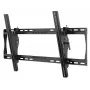 TV laikiklis Peerless ST650P iki 190,5 cm (75 col.) juodas