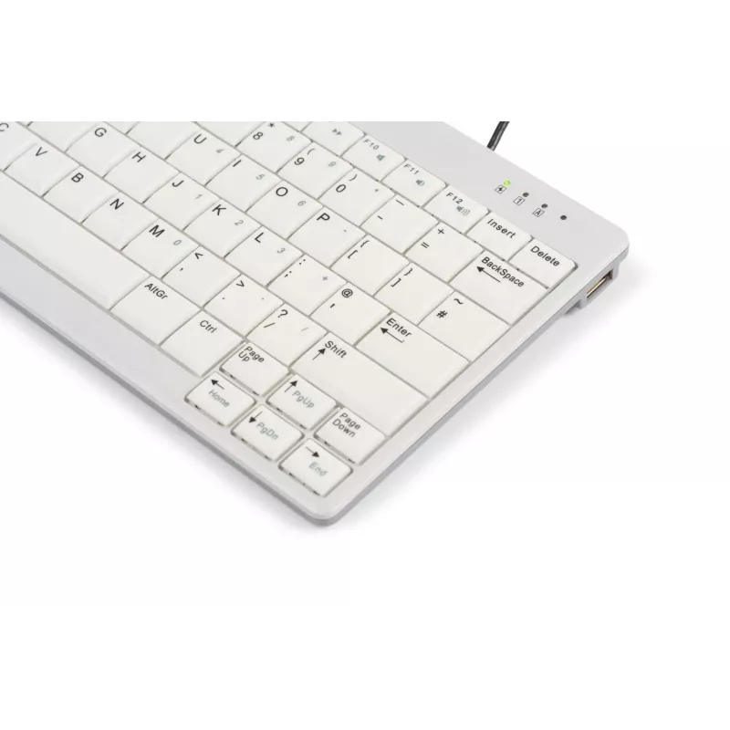 BakkerElkhuizen UltraBoard 950 V2 US Qwerty, laidinis, USB, žirklinis mechanizmas, QWERTY, tamsiai pilka, šviesiai pilka