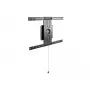 Equip 650331 Universalus sukamas sieninis laikiklis 37-80 colių, 50 kg