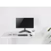 Equip 13-32 colių artikuliuojamas monitoriaus stovas ant stalo