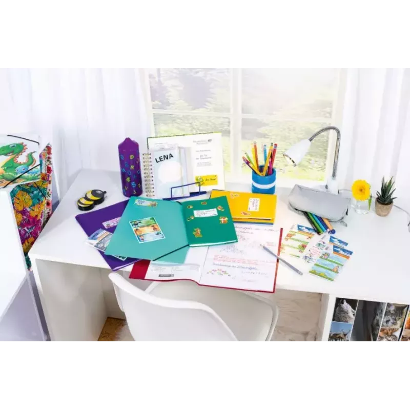 Vaikų lipdukų albumas Herma 15422 Dino