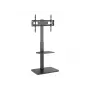 Grindinis televizoriaus stovas Equip 37″–75″ 650613
