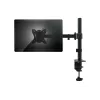 Equip 13 inch–27 inch reguliuojamas monitoriaus laikiklis ant stalo