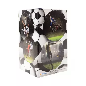 Pieštukinė HERMA Stifteköcher Fussball 19732
