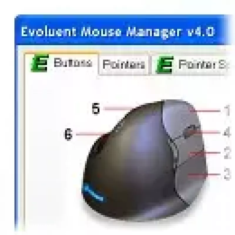 Pelė Evoluent VM4S Office USB Type-A