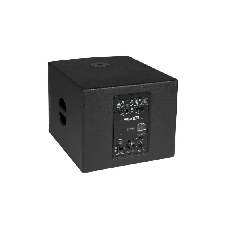 Aktyvus žemųjų dažnių garsiakalbis Omnitronic 11039050 Juodas 500 W