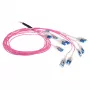 ACT 45 m daugiagyslis 50/125 OM4 preterm pluoštinis kabelis 24F LC Polarity Twist