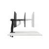 Monitor laikiklis DELL MSA20 96,5 cm Stalas Juodas Aukščio reguliavimas