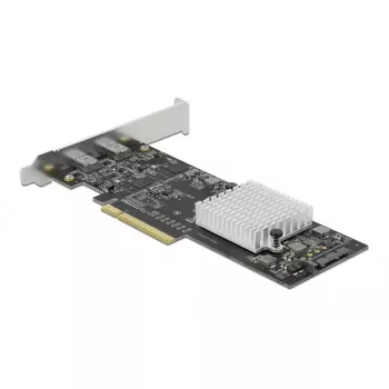 PCI Express x8 kortelė DeLOCK 89011