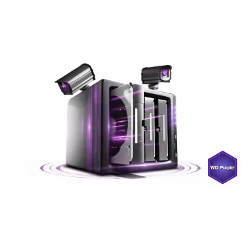 Kietasis diskas Western Digital WD30PURX 3TB 3,5 colio SATA