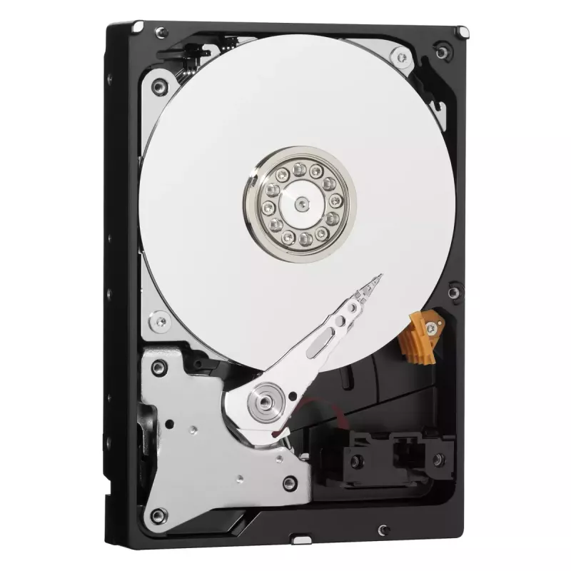 Kietasis diskas Western Digital WD30PURX 3TB 3,5 colio SATA