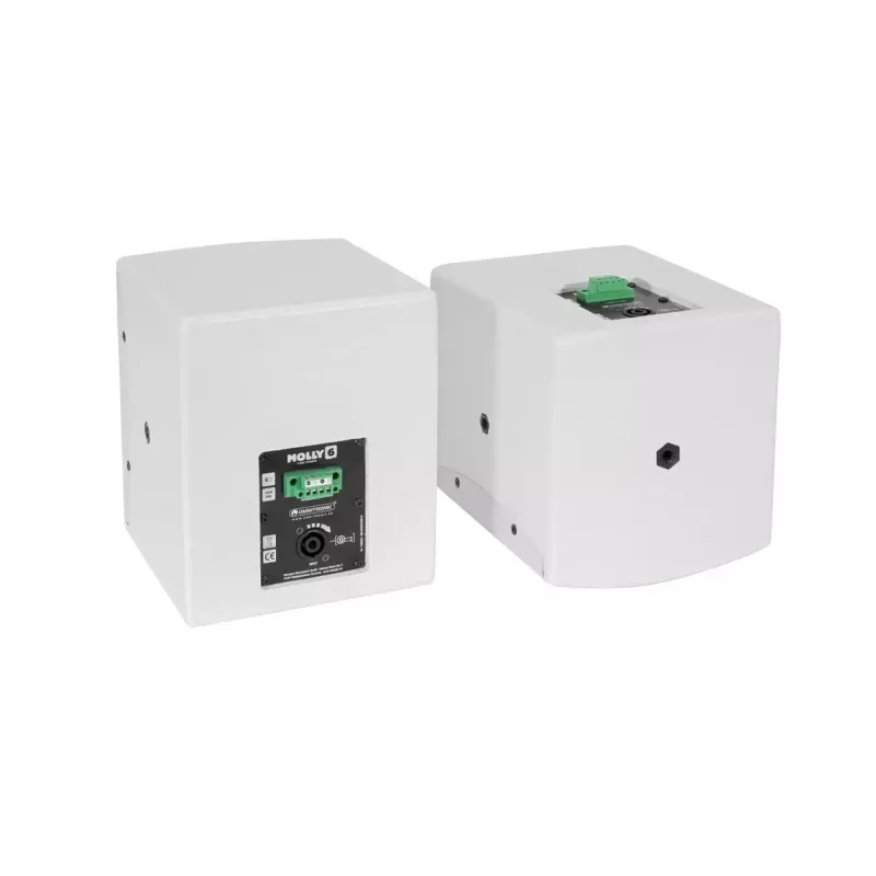 Pilno diapazono garsiakalbis Omnitronic MOLLY-6 White Wired 130 W