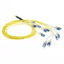 ACT 50 m vienmodis 9/125 OS2 išanksto nutrauktas šviesolaidinis kabelis 24F LC Polarity Twist