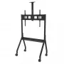 Peerless-AV Paramount PR565 grindinis stovas 190,5 cm (75 inch) juodas