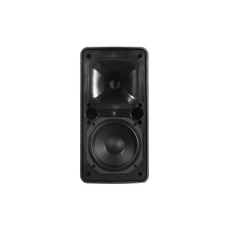 2 krypčių garsiakalbis Omnitronic 11036954 80 W