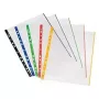 A4 apsauginės kišenės Herlitz 10914422 (10 vnt.)