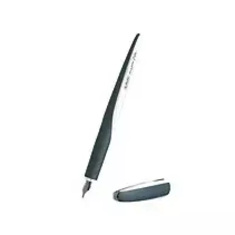 Kaligrafinis rašiklis Herlitz 11360286 Dark Shale