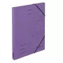 Kartoninis aplankas violetinis A4 Herlitz 11255452