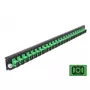 Priekinis skydelis Splice Box DeLOCK 19 colių 24 prievadų SC Simplex žalias