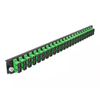 Patch panel DeLOCK 43364 SC 1U 19 inch žalias